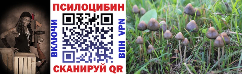 мега рабочий сайт  даркнет сайт  Разумное  Галлюциногенные грибы Magic Shrooms 